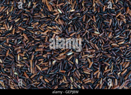 Nahaufnahme von Thai-Reis Berry oder schwarz Thai Jasminreis. Stockfoto