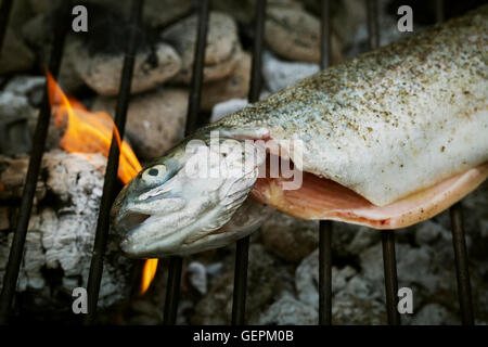 Erhöhte Ansicht einen gegrillten Fisch auf dem Grill. Stockfoto