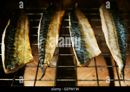 Nahaufnahme von Makrelen Filets auf einem Gestell in einer Fischräucherei. Stockfoto