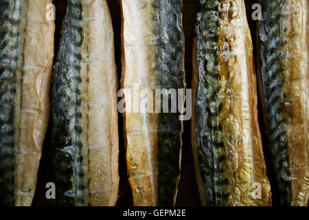 Geräucherte Fischfilets in einer Reihe angelegt. Stockfoto