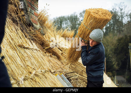 Thatcher Yelm Stroh auf ein Dach zu tragen. Stockfoto