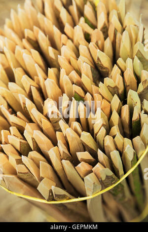 Nahaufnahme von einem Bündel von Holzpflöcken für thatching Dach verwendet. Stockfoto