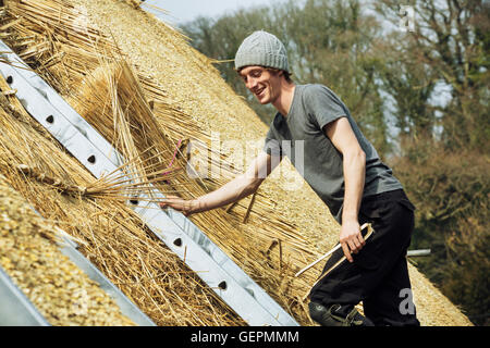 Junger Mann thatching Dach, auf einer Leiter stehend. Stockfoto