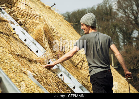 Junger Mann thatching Dach, auf einer Leiter stehend. Stockfoto