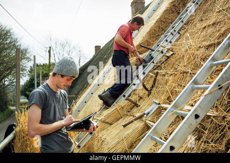 Zwei Thatchers thatching Dach, tablet mit einem digitalen stehenden auf einer Leiter. Stockfoto
