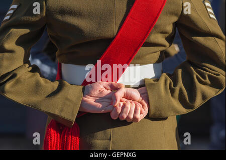 Britische amy-Soldat, Rückansicht eines Feldwebel der britischen Armee, der am Gedenktag in Bury St Edmunds, Suffolk, England, auf einer Parade stand Stockfoto