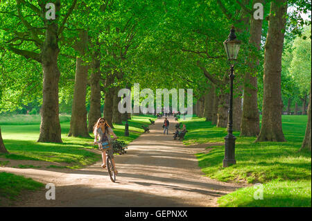 Woman Cycling Park City Concept, Blick auf eine junge Frau, die entlang der baumgesäumten Allee radelt, die durch Green Park im Zentrum von London, England, Großbritannien verläuft Stockfoto