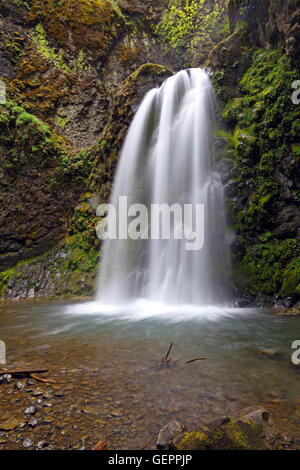 Geographie / Reisen, Umpqua Valley, Fall Creek Falls, Oregon, USA Stockfoto