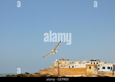 Geographie / Reisen, Marokko Essaouira (Mogador), Sqala De La Kasbah, Malecon, der Altstadt, Stockfoto