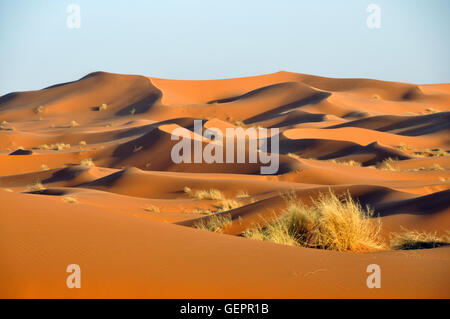 Düne Erg Chebbi Stockfoto