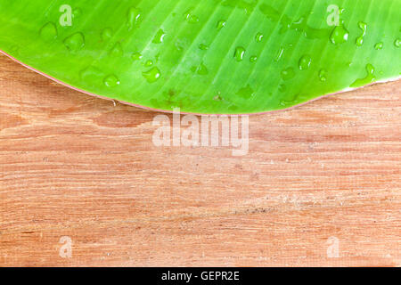 Banane Blatt grün Farbe frisch auf hölzernen Hintergrund Stockfoto