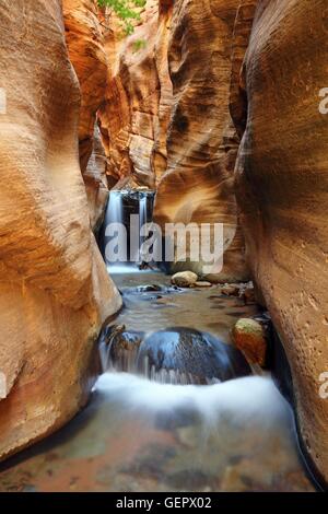 Geographie / Reisen, USA, Utah, Kanarra Creek, Kanarraville, Stockfoto