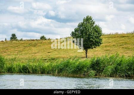 Landschaft am Fluss Peene in der Nähe von Loitz (Deutschland) Stockfoto