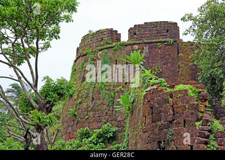 Überreste eines von den Türmen der Cabo de Rama Fort in Goa, Indien. Eine Jahrhunderte alte Festung, zuletzt im Besitz von den Portugiesen. Stockfoto