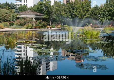 See und Brunnen im Denver Botanic Garden Stockfoto