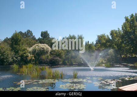 See und Brunnen im Denver Botanic Garden Stockfoto