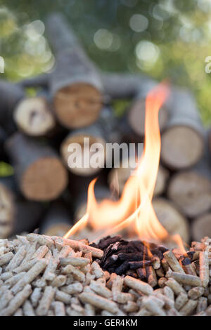 Eiche-Pellets in Flammen vor Haufen von Holz Stockfoto