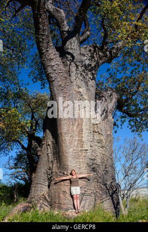 Baines Baobabs, Kudiakam Pan, Nxai Pan National Park, Botswana Stockfoto