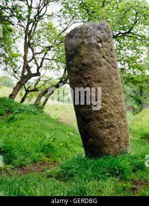 Eine einfache, 5-Fuß hohen zylindrischen römischer Meilenstein in-situ neben Stanegate Roman Road bei Vindolanda Fort S der Hadrianswall, Northumberland. Stockfoto