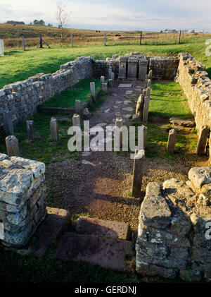 C3rdAD Tempel des Mithras (Mithräum) neben Carrawburgh Roman Fort am Hadrianswall, Northumberland. Auf der Suche W bis Eingang & Ante-Kapelle. Stockfoto