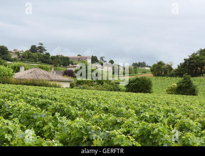 Saint Emilion Gironde Frankreich Weinberge Winzer Häuser Schlösser Reihen von Weinstöcken Stockfoto