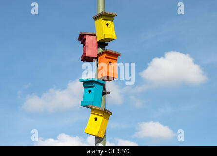 Berlin, Deutschland, bunte Vogelhäuschen auf einen Laternenpfahl Stockfoto