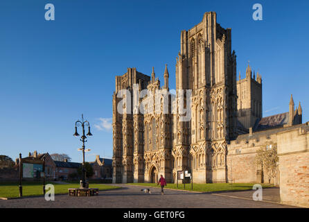 Die kunstvoll geschnitzten Westfassade der Kathedrale von Wells in goldenen Abendlicht getaucht. Stockfoto