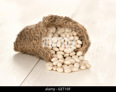 Hautnah weiße Bohnen Stockfoto