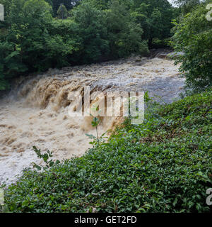 Die schöne Mitte Aysgarth fällt auf den Fluß Ure in Wensleydale Yorkshire Dales National Park England Vereinigtes Königreich UK Stockfoto