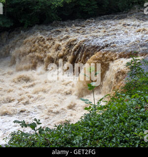 Die schöne Mitte Aysgarth fällt auf den Fluß Ure in Wensleydale Yorkshire Dales National Park England Vereinigtes Königreich UK Stockfoto