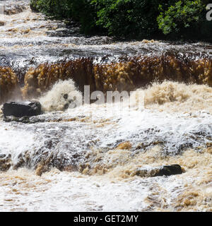 Das schöne obere Aysgarth fällt auf den Fluß Ure in Wensleydale Yorkshire Dales National Park England Vereinigtes Königreich UK Stockfoto