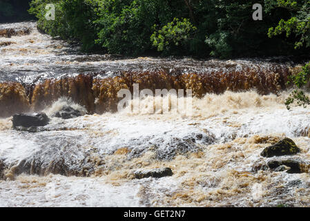 Das schöne obere Aysgarth fällt auf den Fluß Ure in Wensleydale Yorkshire Dales National Park England Vereinigtes Königreich UK Stockfoto