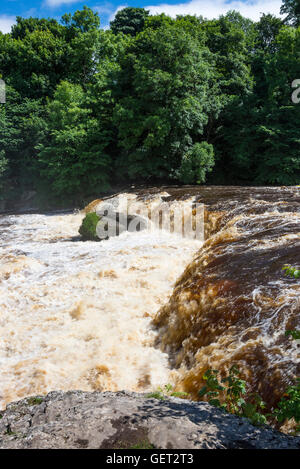 Das schöne obere Aysgarth fällt auf den Fluß Ure in Wensleydale Yorkshire Dales National Park England Vereinigtes Königreich UK Stockfoto