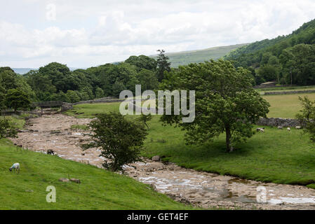 Der Fluss in der Nähe von Littondale Skirfare Halton Gill in den Yorkshire Dales National Park Yorkshire England Vereinigtes Königreich Großbritannien Stockfoto