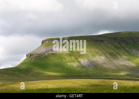 Die schöne Penyghent Hill in den Yorkshire Dales in der Nähe von Horton in Ribblesdale England Vereinigtes Königreich UK Stockfoto