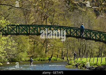 die Ambleve-Fluss in der Nähe von Challes Stockfoto