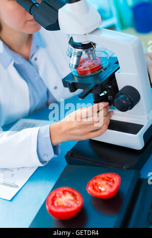 Inspektion von Obst und Gemüse für Schadstoffe Stockfoto