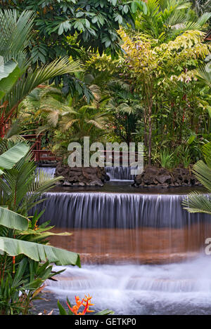 Tabacón Thermalquellen in Costa Rica Stockfoto