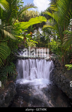 Tabacón Thermalquellen in Costa Rica Stockfoto