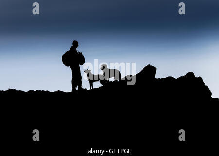 Die Silhouette eines Mannes mit seinen zwei Hunden auf Pentire Osten Landzunge in Newquay in Cornwall. Stockfoto
