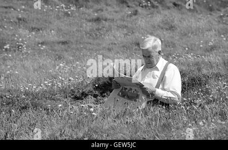 Ballymackean, alte Kopf, Lispatrick, Co. Cork, Irland: ein Mann sitzt in einem Feld lesen Papier Stockfoto