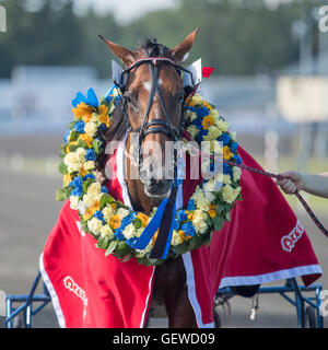 Welt Klasse Trotter Anna Mix gewann das große Rennen "Axevalla Löpning" in das Sommertreffen bei Axevalla Trabrennbahn Stockfoto