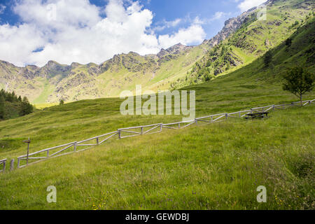 Super Blick auf die Berge an einem sonnigen Sommertag (Ponte di Legno, Valle di Viso - Italien) - Panoramablick Stockfoto