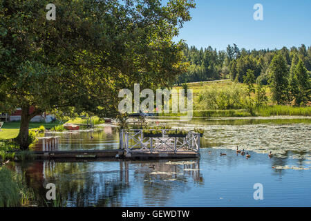 Sommer in Schweden Stockfoto