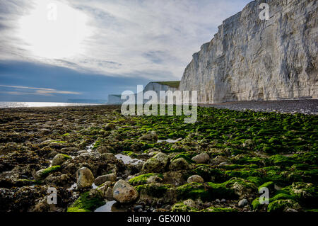 Birling Gap, mit Blick auf sieben Schwestern, East Sussex, England, UK Stockfoto