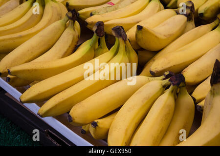 Bündel Bananen am Marktstand / Lebensmittel-Markt Stockfoto