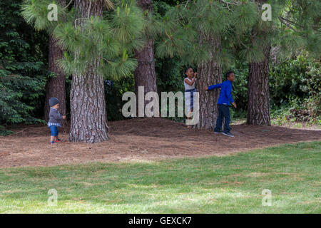 jungen und Mädchen, spielen, spielen, verstecken, Sonoma State University, Stadt, Rohnert Park, Sonoma County, Kalifornien Stockfoto