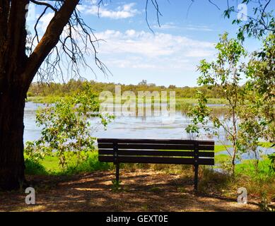 Bank in ruhiger Lage in das Feuchtgebiet von Bibra Seengebiet mit Blick auf den See und einheimischen Pflanzen in Western Australia. Stockfoto