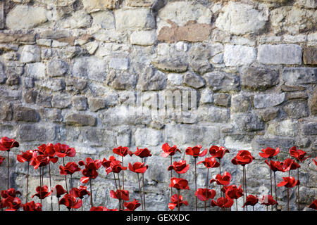 Mohn von Blut Mehrfrequenzdarstellung Länder und Meere von Red Kunstinstallation an der Tower of London anlässlich 100 Jahre seit dem 1. Weltkrieg. Stockfoto
