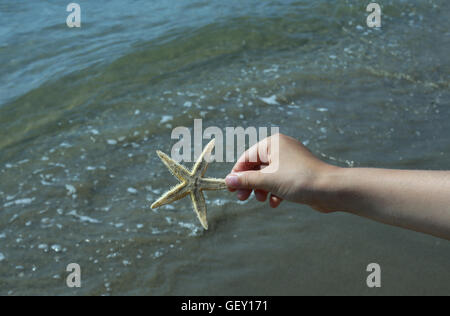 Kind hält in seiner Hand die Seestern am Ufer Meeres Stockfoto